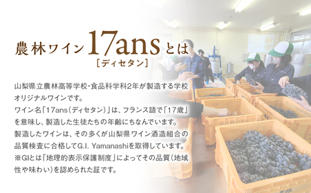 赤白ワイン 2本セット 農林高校ワイン 2024ヴィンテージ 