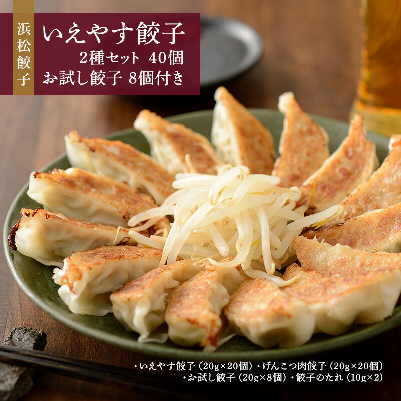 【ふるさと納税】浜松餃子 いえやす餃子 2種 40個 お試し餃子 8個 セット 詰め合わせ 肉餃子 ぎょうざ 餃子 ギョーザ 冷凍餃子 冷凍ぎょうざ 冷凍 冷凍食品 中華 惣菜 食品 おかず 食べ比べ 静岡 静岡県 浜松市 【配送不可：離島】