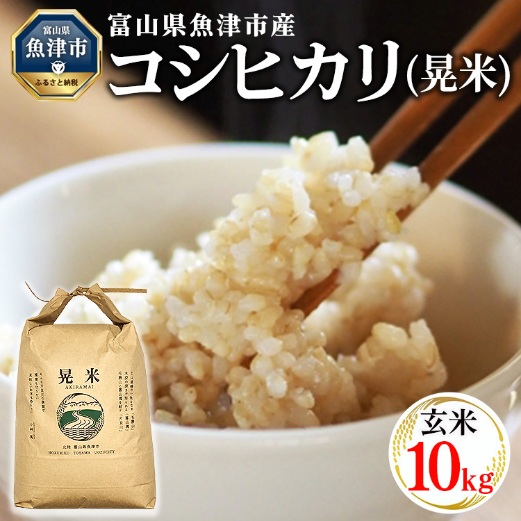 【令和8年度米】【農家直送】環境配慮「魚津のコシヒカリ（晃米）」10kg（玄米） ※2026年10月～発送