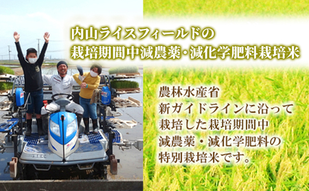 【令和7年度産新米】令和7年 栽培期間中減農薬・減化学肥料栽培米こしひかり5kg 精米 定期便6ヶ月 お米 ブランド米 銘柄米 白米 ご飯 おにぎり お弁当 和食 
