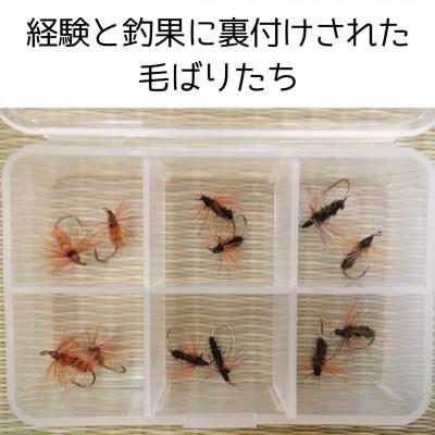 ふるさと納税 高森町 【数量限定】テンカラ毛鉤 3種類×4本セット(ケース入り) |  | 01