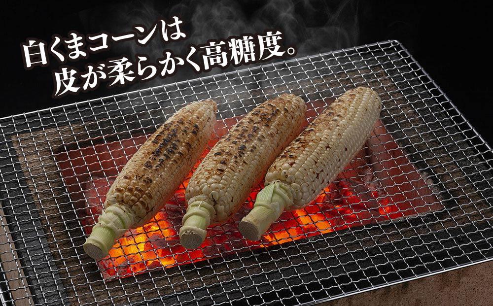 【先行予約】象もろこし（白くまコーン）大きいサイズのトウモロコシ　450ｇ以上8本入り (2025年8月下旬～発送開始予定) 【 とうもろこし 人気 北海道 糖度 野菜 白いとうもろこし 白いスイート