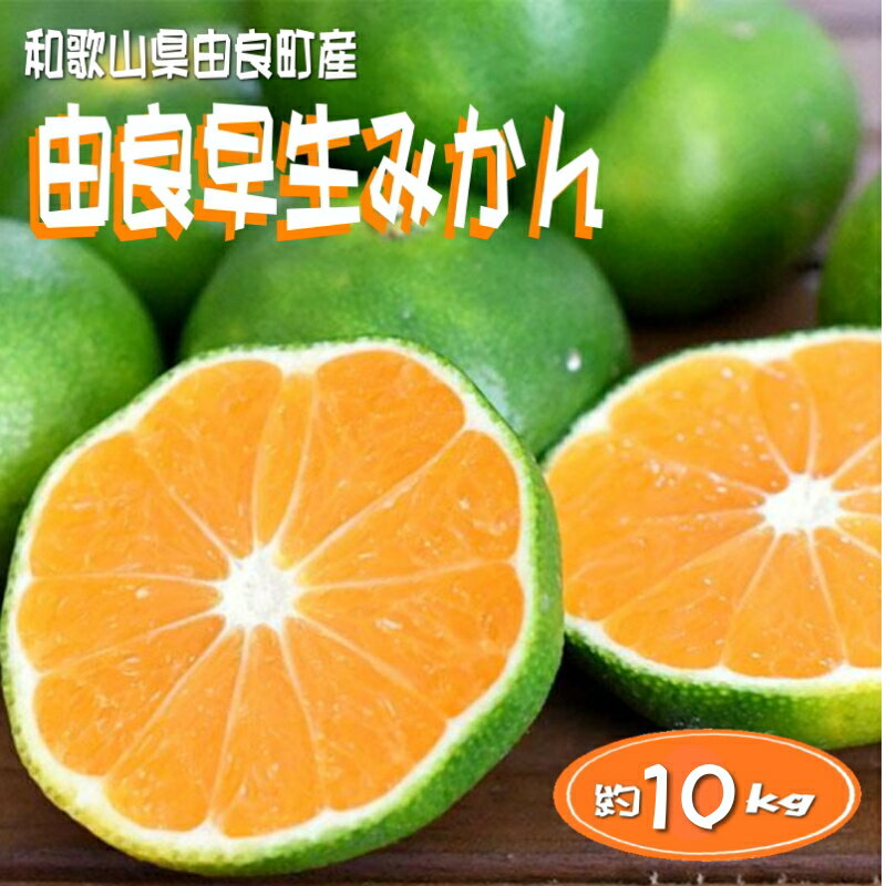 【ふるさと納税】【先行予約】和歌山由良町産 由良早生みかん 約10kg 訳あり キズ 御家庭用 サイズ混合 ミカン 柑橘 みかん 和歌山