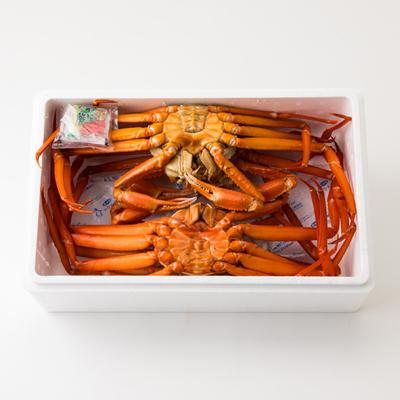 ふるさと納税 養父市 兵庫県香住産 釜茹で香住ガニ(紅ズワイガニ)3〜4匹入(約2kg)【9月中旬以降発送】 |  | 03