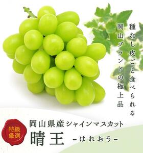 岡山県産　シャインマスカット『晴王』2房(1房480g以上) 化粧箱入り