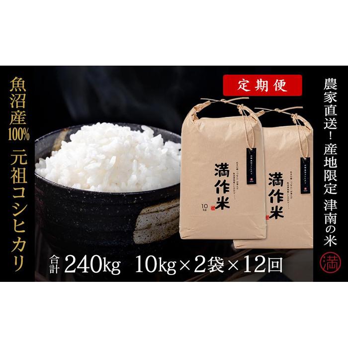 【ふるさと納税】【2025年産新米】【12ヶ月定期便】合計240kg 20kg×12回 元祖魚沼産コシヒカリ
