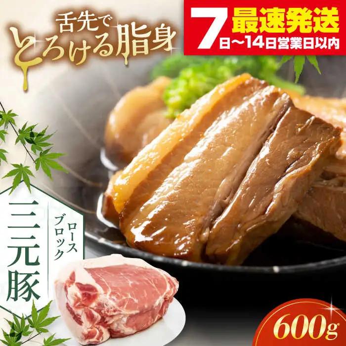  ロース ブロック 600g ロースブロック AJAP070