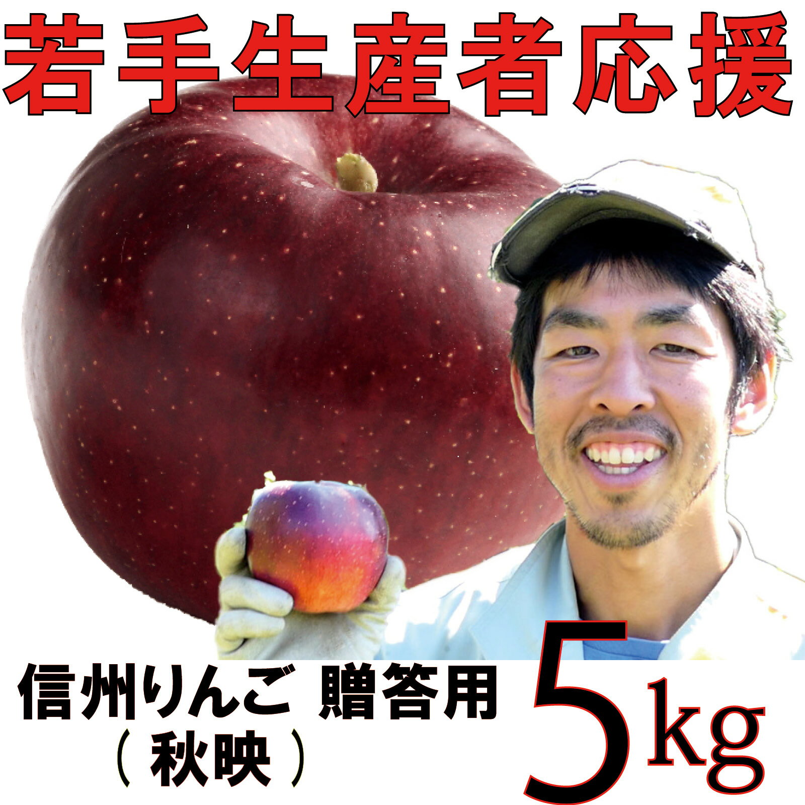 【ふるさと納税】 りんご 5kg 【若手生産者応援】秋映 川上啓介 贈答用 果物 フルーツ 先行 予約 信州 麻績村
