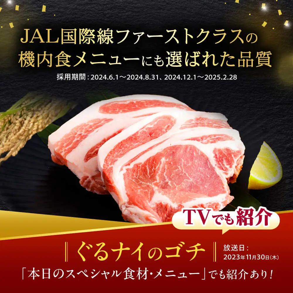 【3回定期便】＜特Aのブランド米で育てた＞黒豚諫美豚プレミアム100 5種セット 計1.2kg( ロースステーキ バラ モモ 切り落とし ひき肉 ) / 豚肉 ロース ステーキ 挽き肉 ミンチ / 諫