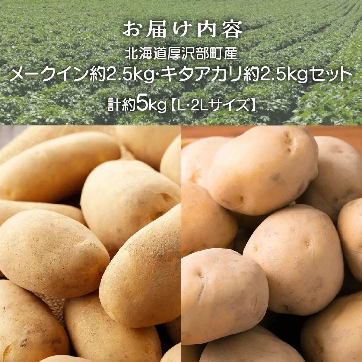 【2026年9月下旬より発送】北海道厚沢部町産 メークイン 約2.5kg・キタアカリ 約2.5kgセット 計約5kg【L・2Lサイズ】 ASO037