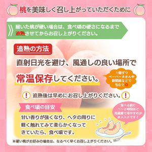 山形産 柔らかめ 「黄桃」 秀品 約2kg (5玉～8玉) FY24-082