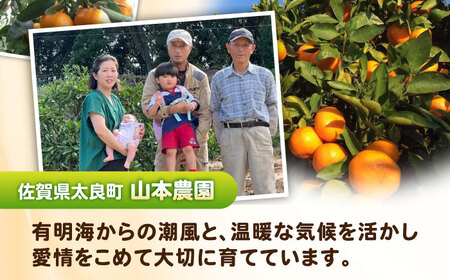 そのまんまニューサマーオレンジジュース 720ml×2本 / 佐賀県 / 山本農園 [41ATBT020]