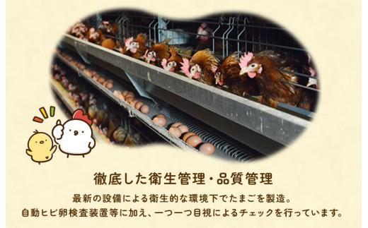 【定期便9回】九十九里ファームこだわりたまご贈答用 180個 ～あおい海・みどりの里～《白玉》 たまご 卵 玉子 タマゴ 白玉 卵かけご飯 新鮮 旨み 甘み 贈答用 贈答 ギフト 贈り物 千葉県 匝瑳