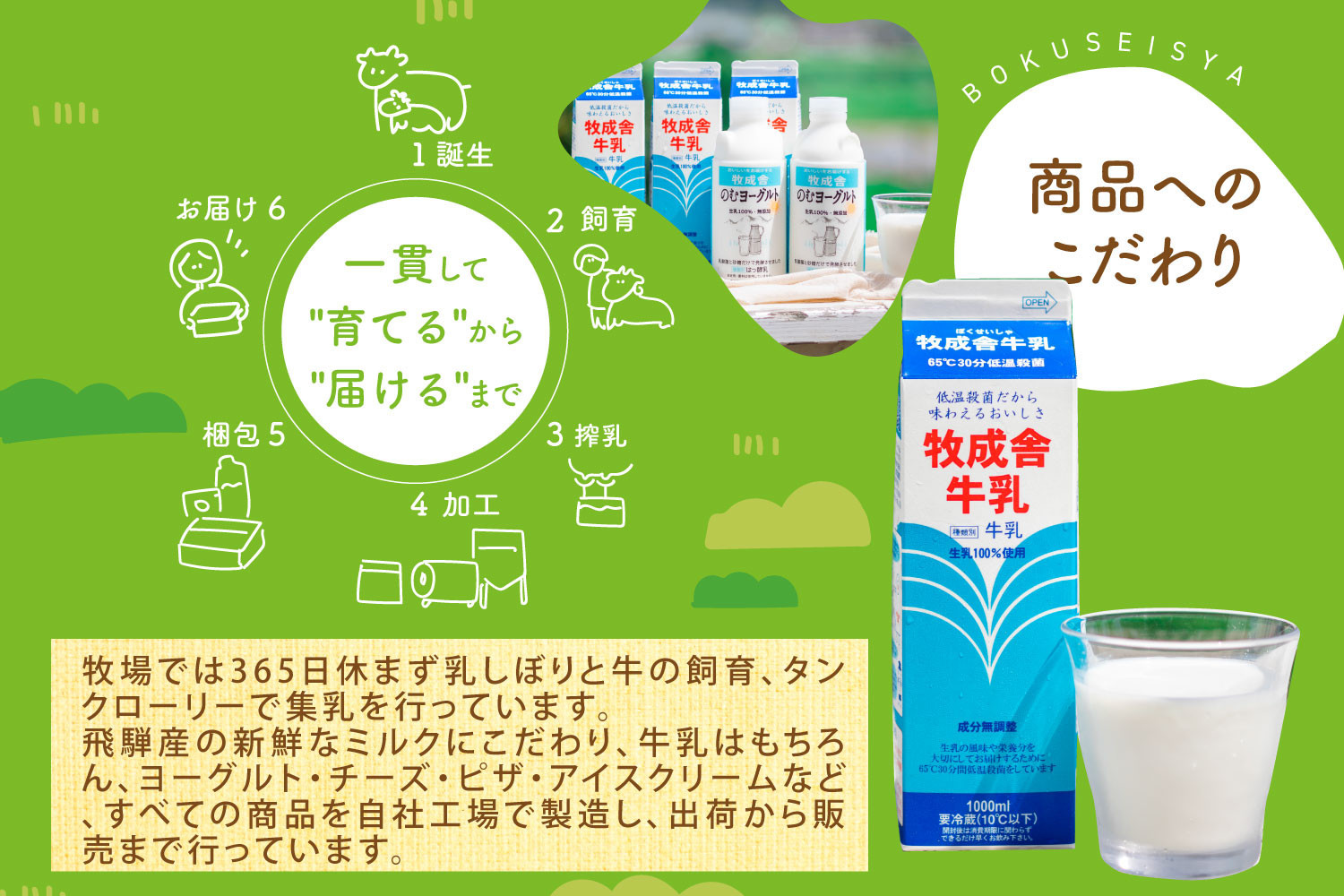 【定期3か月便】牧成舎のむヨーグルト750ml×3本セット｜ヨーグルト 乳製品 デザート 朝食 食生活 牧成舎DF260