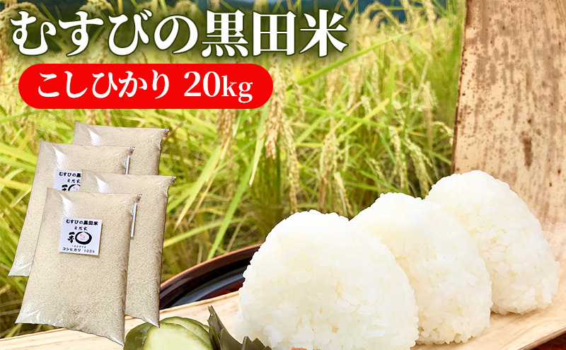 
                  《新米 先行予約》むすびの黒田米 こしひかり 20キロ [ 米 お米 20kg 5kg×4袋 コシヒカリ お弁当 おむすび 冷めても美味しい ]※2026年9月1日～順次発送[№5356-0078]
                