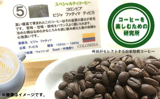 【12回定期便】自家焙煎スペシャリティコーヒーおまかせセット(豆のまま) / スペシャリティコーヒー ブレンド コーヒー / 諫早市 / R and R coffee labo [AHCJ026]