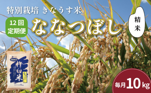【精米12ヶ月定期便】特別栽培「きなうす米」ななつぼし10kg×12回　U004