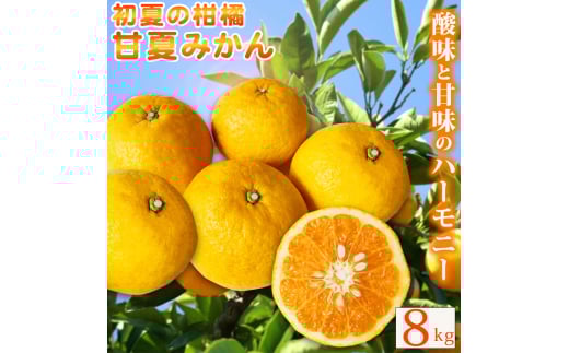 【ご家庭用訳あり】紀州有田産 すっきり爽やか 甘夏みかん 8kg  ※2026年3月上旬頃〜2026年3月下旬頃に順次発送予定【uot847】
