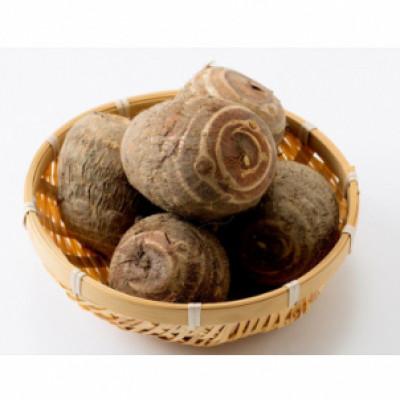 ふるさと納税 小矢部市 里芋「縄文の里芋」5kg