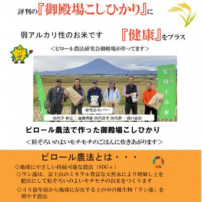 ふるさと納税 御殿場市 ピロール米御殿場こしひかり　5kg(精米) |  | 01