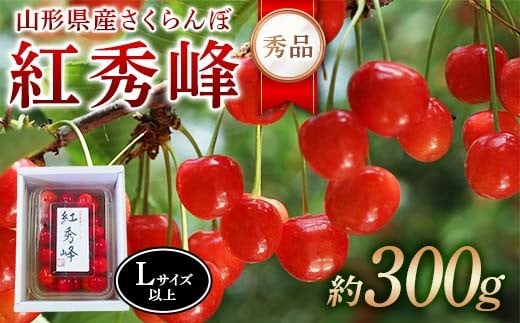 令和8年産【先行受付】山形県産さくらんぼ＜紅秀峰 秀品＞300g Lサイズ以上 FSY-2274