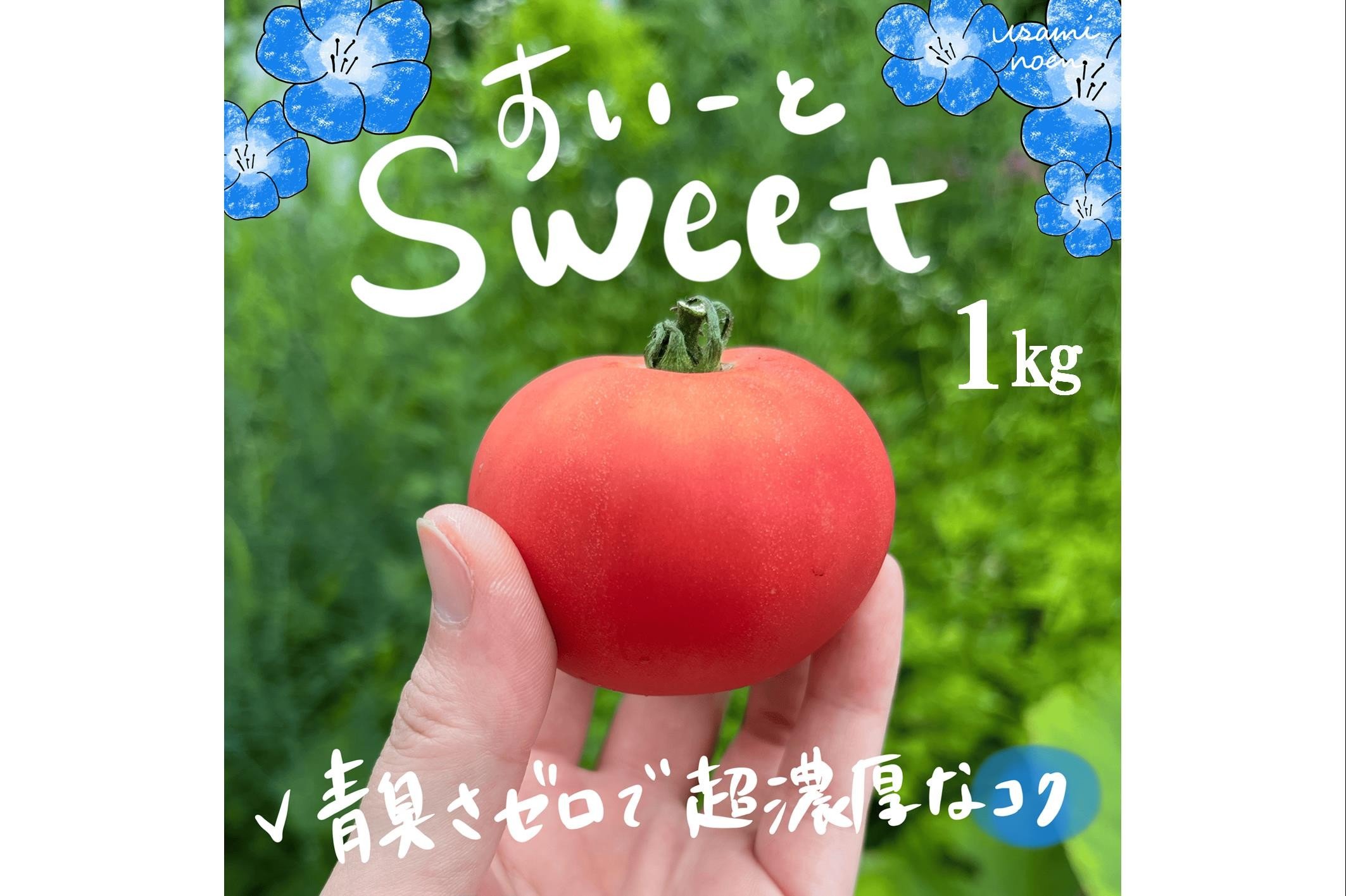 
            【2026年予約】極旨トマトクール便 北海道壮瞥町産 スイート1kg 中玉トマト 【 ふるさと納税 人気 トマト とまと 野菜 スイート 中玉トマト フルーツトマト フルーツ ミニトマト 甘い 糖度 美味しい 完熟 グルメ 北海道 壮瞥町 送料無料 】 SBTAJ016 
          