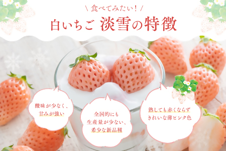 【先行予約】白いちご「淡雪」/2パック入×1箱