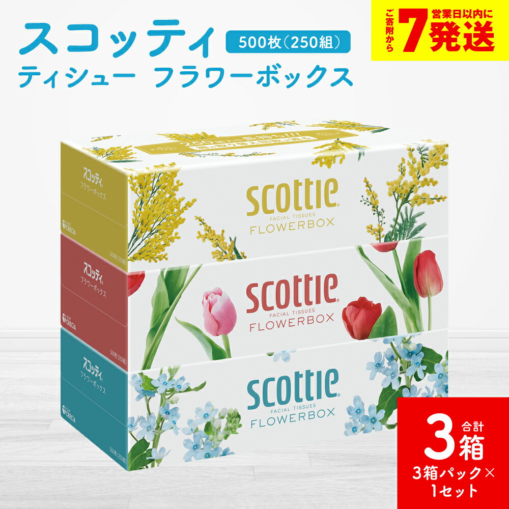 【ふるさと納税】【スコッティ】ティシュー フラワーボックス 250組（3箱パック×1セット 合計3箱）ティッシュ 日用品 生活必需品 送料無料 スピード発送 【7営業日以内に発送】
