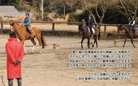 初心者向け ビジター乗馬体験 エヒメ乗馬クラブ（小学生以上1名 30分+引き馬1周）