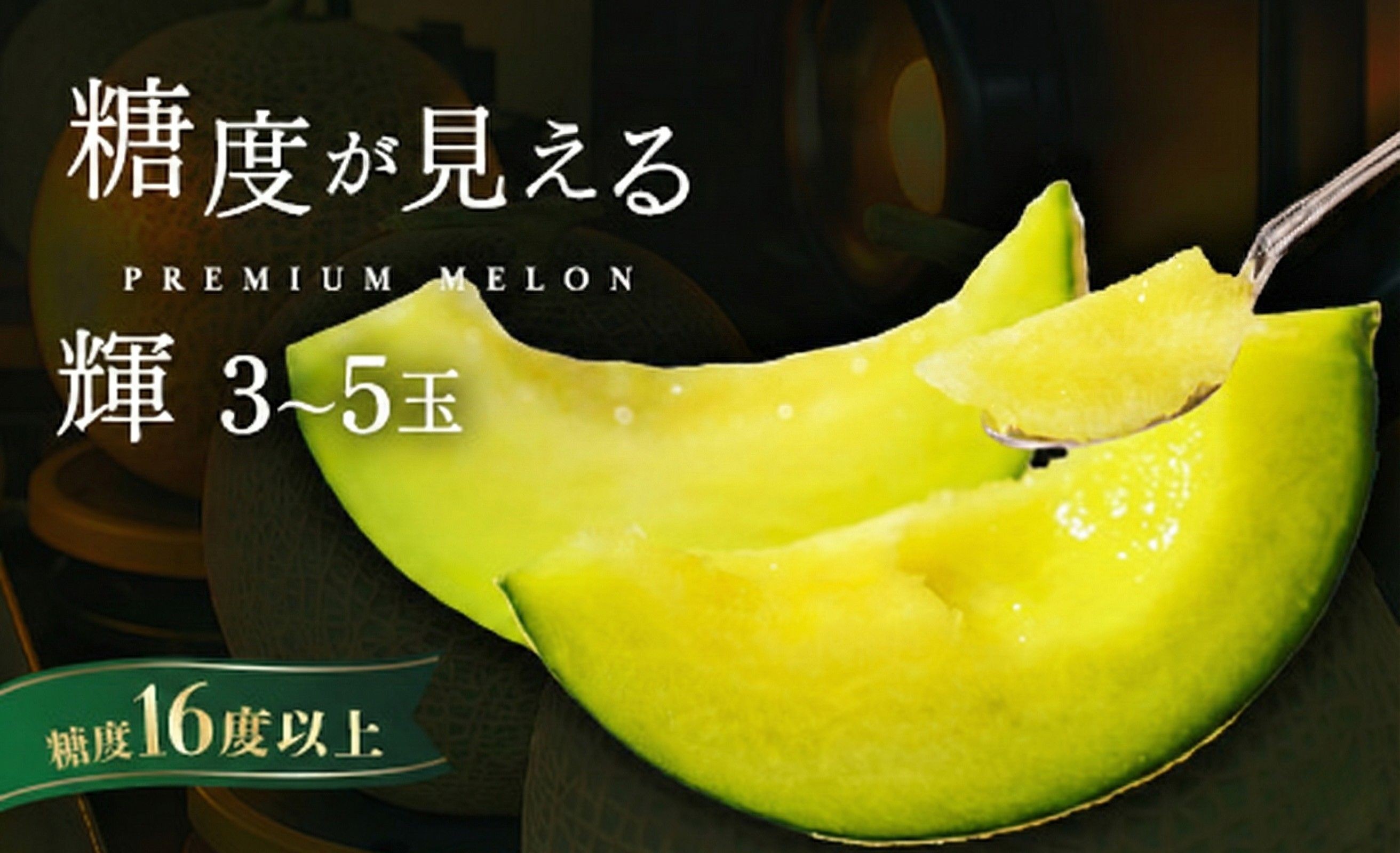
                  ＼糖度16度以上！／ 品質が見える メロン 【輝】等級 至高のエルソルメロン 3～5玉 ｜めろん エルソルメロン おすすめ 人気 国産 茨城 鉾田 サングリーン旭 特秀 旬 フルーツ 贈り物 プレゼント 青肉 青 果物 5月以降発送
                