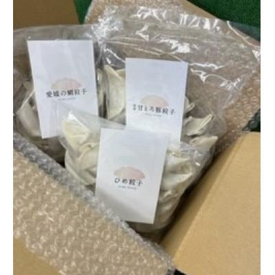 ふるさと納税 松山市 愛媛甘とろ豚餃子(18個)愛媛の鯛餃子(15個)ひめ餃子(28個) |  | 02