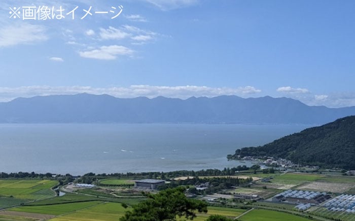 鮒ずし 約450g×1本　鮒 鮒ずし 鮒寿し 鮒寿司 ふなずし 発酵 おつまみ 珍味