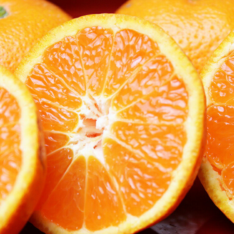 【ふるさと納税】 【先行予約受付 訳あり】田村みかん 10kg【2026年11月下旬頃〜2027年1月下旬頃に順次発送】（お届け日指定不可）