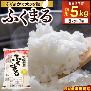 ＼特A獲得／ ふくまる 5kg 令和7年産 関東地方限定配送 スピード出荷 最短3～7営業日出荷 米 茨城県 中央産 桂農産 コシヒカリ 大粒 2026年 食味ランキング 最高評価 精米 産地直送 (AX006)