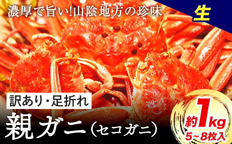 訳あり 親ガニ カニ 約1kg (5～8枚入り) 生 さんチョク《2025年11月中旬-2026年1月上旬頃出荷》鳥取県 八頭町 送料無料 蟹 かに 鍋 ズワイガニ ズワイ蟹 冷蔵 セコガニ