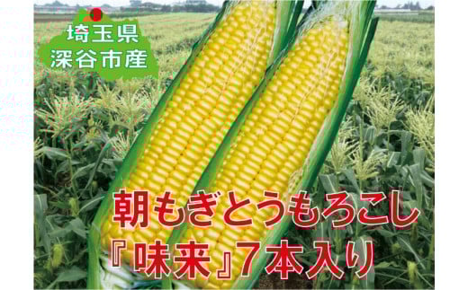 
            フルーツみたいなスイートコーン【味来（みらい）】7本　【11218-0139】
          
