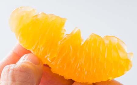 熊本県産 完熟 デコポン 計2.5kg（10～12玉） 果物 くだもの フルーツ 蜜柑 ミカン 柑橘 【2025年3月上旬～4月上旬発送予定】