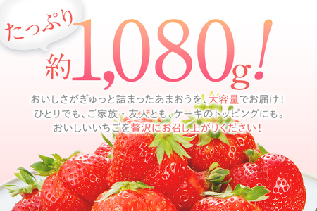 【2024年2月～3月順次発送予定】 あまおう 合計約1,120g 約280g×4パック 