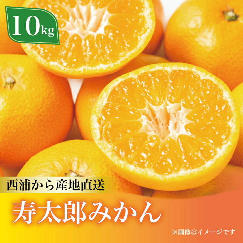 【ふるさと納税】 寿太郎 みかん 約10kg 西浦 柑橘 本格 貯蔵 熟成 蜜柑 ミカン オレンジ 果物 フルーツ 柑橘類 国産 特産品 高級 贈答用 ギフト 贈り物 冬 旬 産地直送 甘い 美味しい 新鮮 家庭用 お取り寄せ 沼津市 静岡県