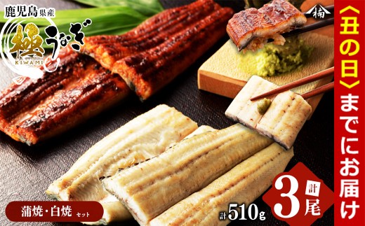 【丑の日までに配送】楠田の極うなぎ 蒲焼き2尾・白焼き1尾170g以上×3尾(510g以上) b2-011-us