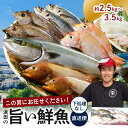 【ふるさと納税】この男に任せてみませんか〜浜田の旨い鮮魚直送便(下処理なし) 〜 海鮮 鮮魚 詰め合わせ セット おまかせ 旬 直送便 人気 お取り寄せ 【1952】