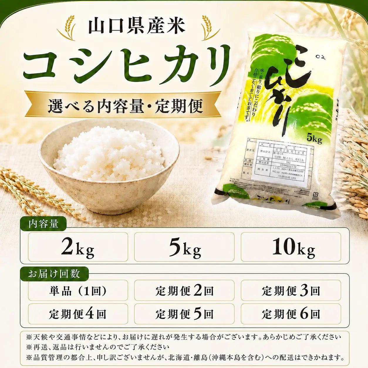 令和8年度産 山口県産 コシヒカリ 10㎏ 定期便 4回発送