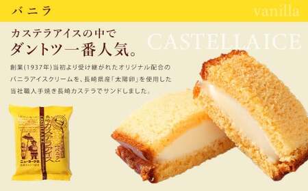 【全3回定期便】長崎カステラアイス 7種 計10個 (バニラ・抹茶・びわ・チョコ・コーヒー・苺・白玉小倉) あいす かすてら デザート スイーツ ニューヨーク堂
