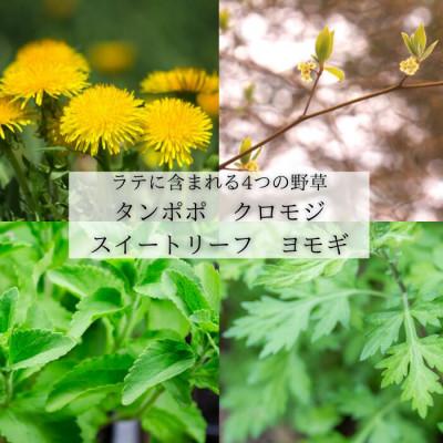ふるさと納税 岡山市 薬学博士が作った　野草茶ラテベース |  | 02