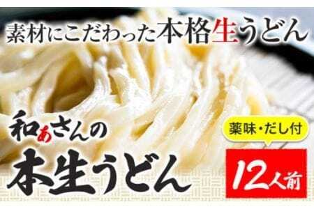 おうどんセット 12人前 《90日以内に出荷予定(土日祝除く)》うどんうどんうどんうどん