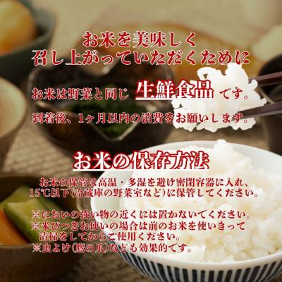 ふるさと納税 江北町 令和7年産さがびより白米20kg【5kg×4袋】五つ星お米マイスター厳選!(江北町) |  | 03