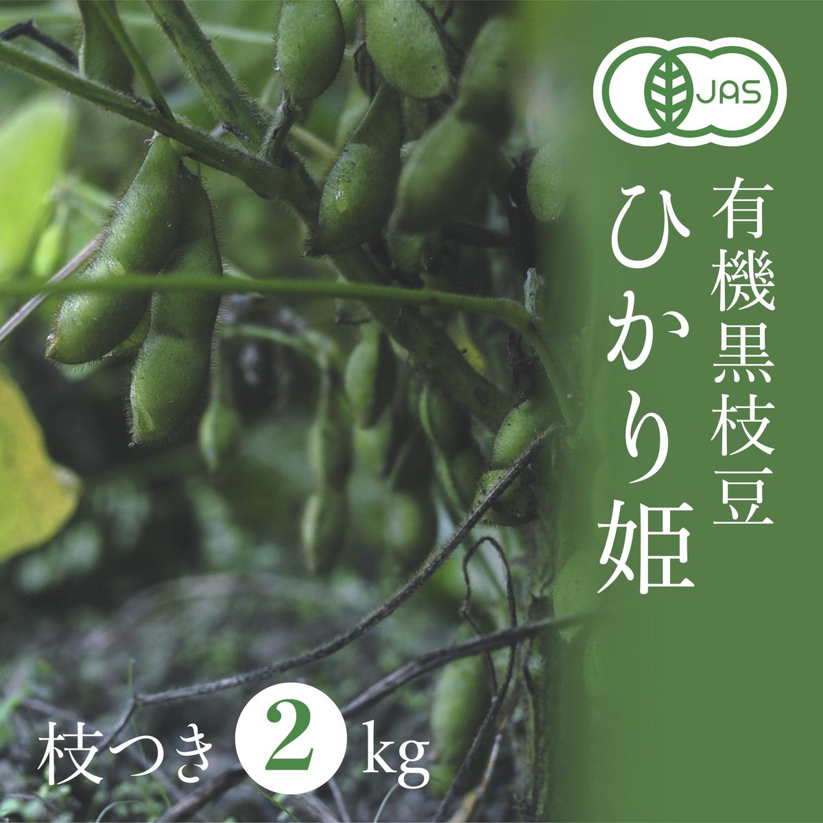 【ふるさと納税】【2025年秋穫れ！有機黒枝豆】丹波黒の後継品種「ひかり姫」枝付き2kg 朝採り 黒枝豆 豆 マメ 産地直送 おつまみ つまみ 兵庫 先行 予約　お届け：2025年10月中旬～10月下旬