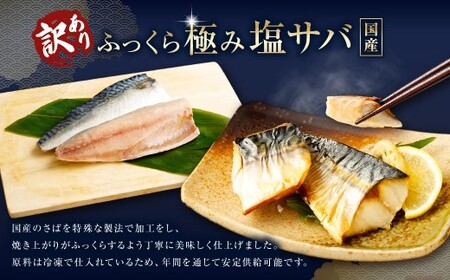 【6ヶ月定期便】【訳あり】国産 ふっくら 極み塩サバ 計約2kg ／ 1切れ 塩サバ 塩さば 塩鯖 さば サバ 鯖 魚