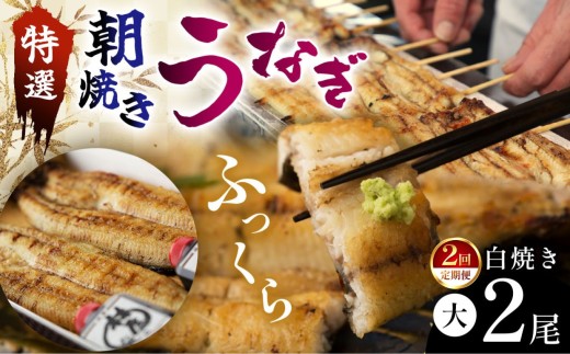 【定期2回】特選ふっくら朝焼きうなぎ 林屋（白焼き大２尾）| 特選ふっくら朝焼きうなぎ 林屋 白焼き 特選白焼き 白焼きうなぎ 高級林屋 ふるさと 納税 栃木県 那珂川町 送料無料