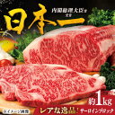 【ふるさと納税】【幻の和牛】特選平戸和牛サーロインブロック1kg【萩原食肉産業】[KAD173]